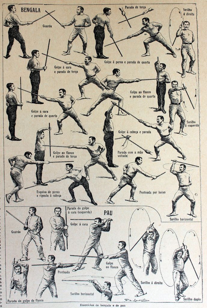 Teknik dan Grade Savate